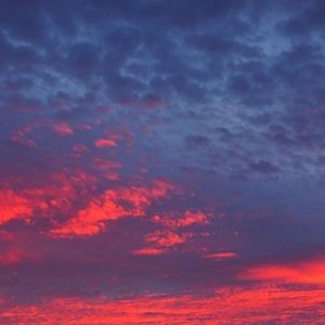 Meet your Posher, Tracey